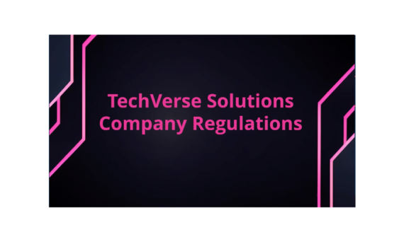 TechVerse解决方案公司规章